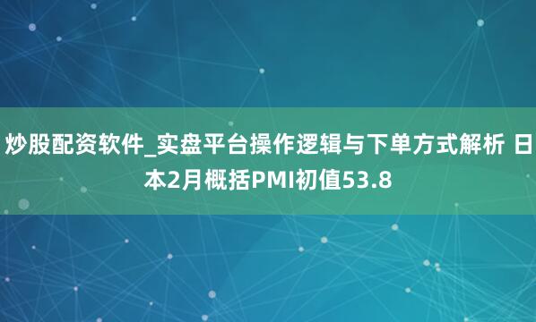 炒股配资软件_实盘平台操作逻辑与下单方式解析 日本2月概括PMI初值53.8