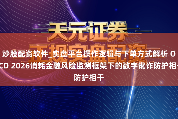 炒股配资软件_实盘平台操作逻辑与下单方式解析 OECD 2026消耗金融风险监测框架下的数字讹诈防护相干