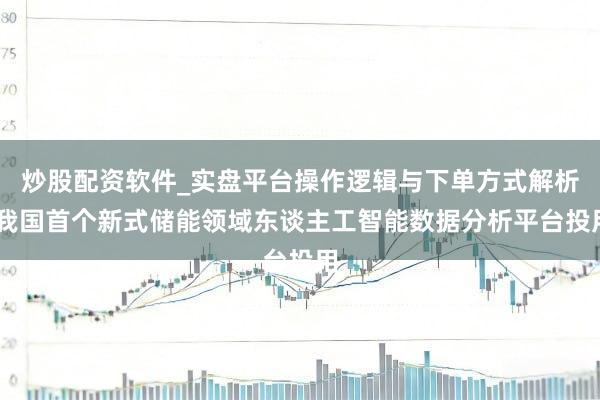 炒股配资软件_实盘平台操作逻辑与下单方式解析 我国首个新式储能领域东谈主工智能数据分析平台投用