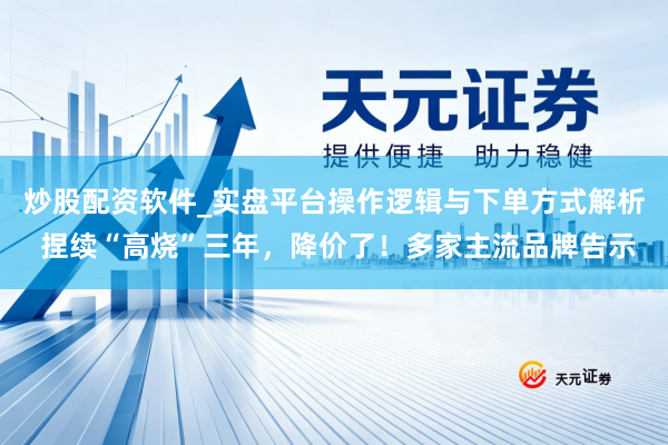 炒股配资软件_实盘平台操作逻辑与下单方式解析 捏续“高烧”三年，降价了！多家主流品牌告示