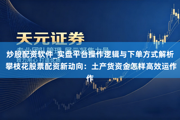 炒股配资软件_实盘平台操作逻辑与下单方式解析 攀枝花股票配资新动向:土产货资金怎样高效运作